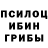 Галлюциногенные грибы прущие грибы Akzhol Abutalip